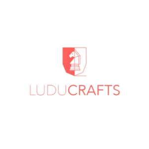 Introduction of a company