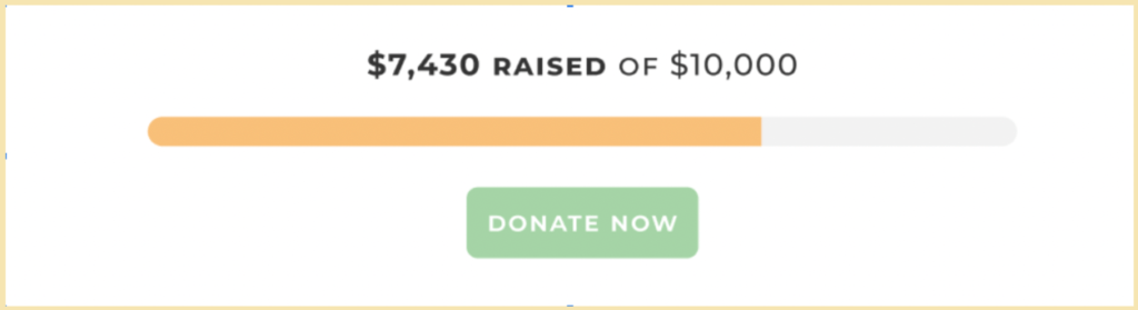 Givewp features a donation progress bar at exactly the right moment when you’re close to meeting your goal.