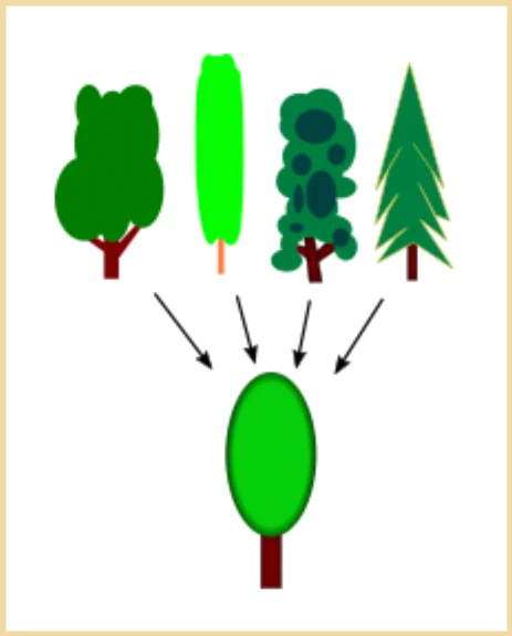 You don’t need to know the detailed leaf structure of any given tree to quickly assess whether it’s a tree. Yet an oak feels like a better representative than, say, a Boojum Tree.